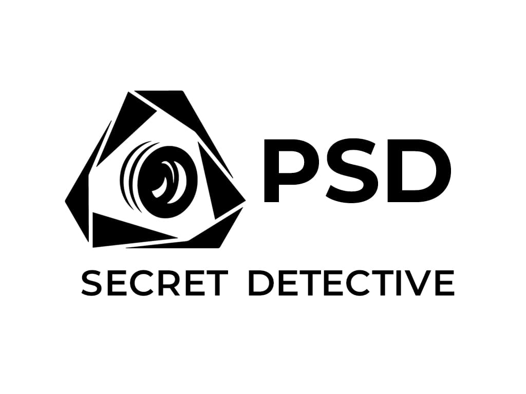 particular secret detective