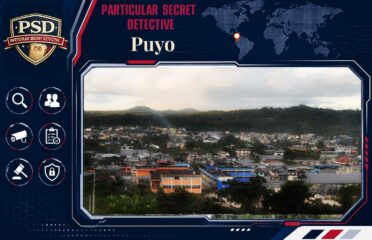 Private Detectives Puyo