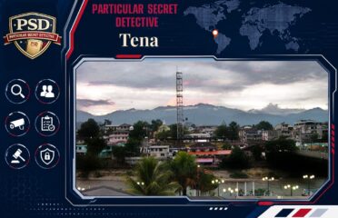 Private Detectives Tena